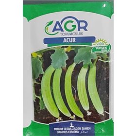 Agr 10 gr Acur Tohumu