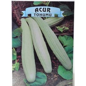 Agr 10 gr Acur Tohumu