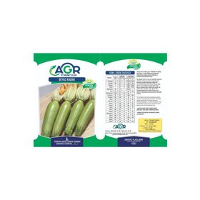 Agr 10 gr Beyaz Kabak Sakız Tohumu