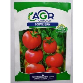 Agr 2 gr Köy Domatesi Tohumu
