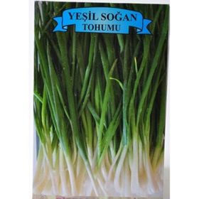 Agr 5 gr Yeşil Soğan Tohumu