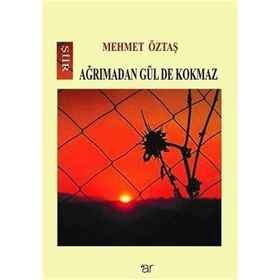 Ağrımadan Gül De Kokmaz - Mehmet Öztaş