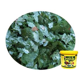 Ahm Spirulina Flake Bitkisel Pul 100 ml Balık Yemi