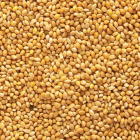 Ak Darı 1 kg Sade Açık Lüx Muhabbet Kuşu Yemi