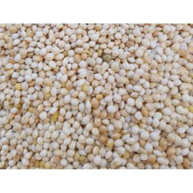 Ak Darı 25 kg Muhabbet Kuşu Yem