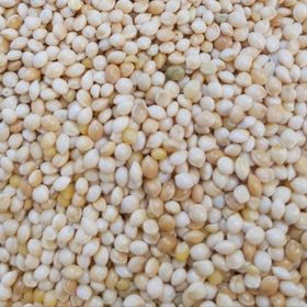 Ak Darı 25 kg Muhabbet Kuşu Yem