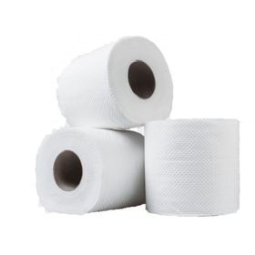 Akalın 12'li Mini Jumbo Tuvalet Kağıdı
