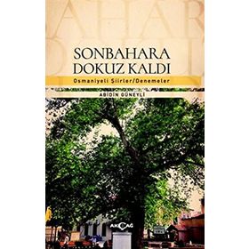 Akçağ Yayınları Sonbahara Dokuz Kaldı Abidin Güneyli