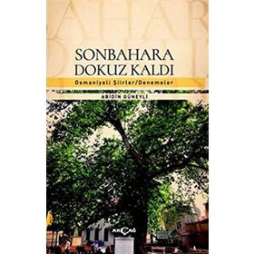 Akçağ Yayınları Sonbahara Dokuz Kaldı Abidin Güneyli