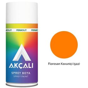 Akçalı 522 Florasan Kavuniçi Sprey Boya