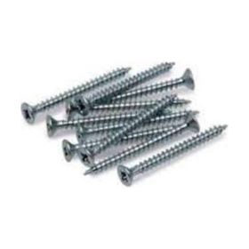 Akdeniz 10 Adet 4.0x60 mm Sunta Vidası