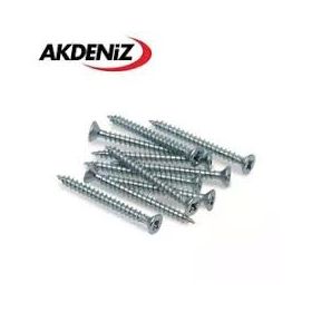Akdeniz 4x25 mm Sunta Vidası