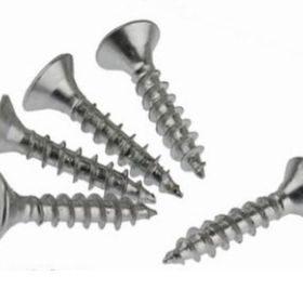 Akdeniz 5.0x60 mm Sunta Vidası