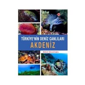 Akdeniz Türkiye'nin Deniz Canlılar - Tubitak Yayınları