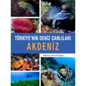 Akdeniz - Türkiye'nin Deniz Canlıları - Bülent Gözcelioğlu
