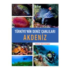 Akdeniz - Türkiye'nin Deniz Canlıları - Bülent Gözcelioğlu