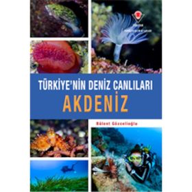 Akdeniz - Türkiye'nin Deniz Canlıları - Bülent Gözcelioğlu