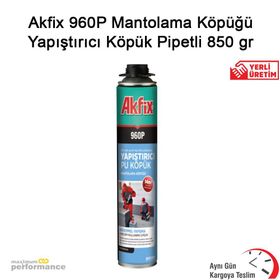 Akfix 960P 850 gr Tabancalı Montalama Köpüğü