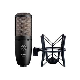 AKG Perceptıon 220 Mikrofon