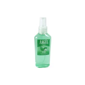 Akgül 160 ml Elma Kolonyası