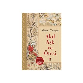 Akıl Aşk ve Ötesi / Ahmet Turgut / Kapı Yayınları