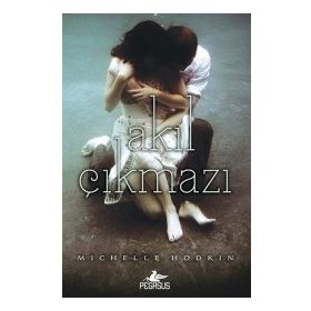 Akıl Çıkmazı - Michelle Hodkin