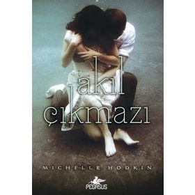 Akıl Çıkmazı - Michelle Hodkin