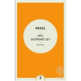 Akıl Dediğimiz Şey - Georg Wilhelm Friedrich