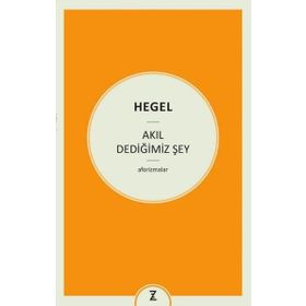 Akıl Dediğimiz Şey - Georg Wilhelm Friedrich