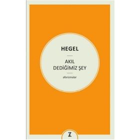 Akıl Dediğimiz Şey - Georg Wilhelm Friedrich
