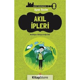 Akıl İpleri - Ayşe Sevim