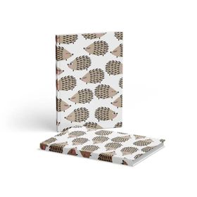 AKILLICA Sert Kapaklı Kurdeleli 13x21 cm Hardcover Kirpi 2 Adet Çizgili Defter