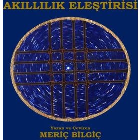 Akıllılık Eleştirisi - Meriç Bilgiç