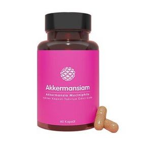 Akkermansiam Akkermansia Muciniphila 60 Kapsül