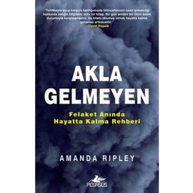 AKLA GELMEYEN - AMANDA RIPLEY