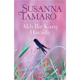 AKLI BIR KARIŞ HAVADA - SUSANNA TAMARO