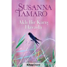 AKLI BIR KARIŞ HAVADA - SUSANNA TAMARO