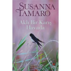 AKLI BIR KARIŞ HAVADA - SUSANNA TAMARO