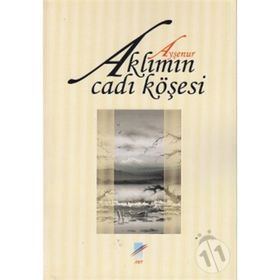 Aklımın Cadı Köşesi - Ayşenur Öztürk