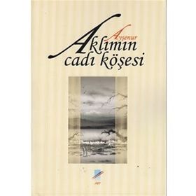 Aklımın Cadı Köşesi - Ayşenur Öztürk