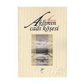 Aklımın Cadı Köşesi - Ayşenur Öztürk