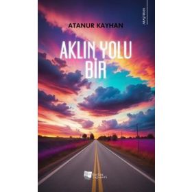 Aklın Yolu Bir Karina Yayınevi