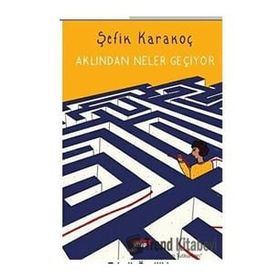 Aklından Neler Geçiyor - Şefik Karakoç
