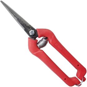 Akman Meyve Toplama 18 cm Narenciye Makası