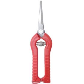 Akman Meyve Toplama 18 cm Narenciye Makası