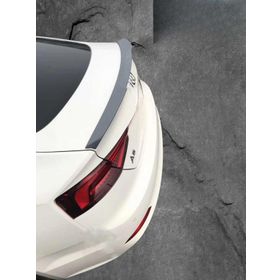 Aksoy Tuning Audi A5 Yarasa 2017 Boyalı Spoiler