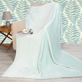 Aksu İpeksoft Tomurcuk Çift Kişilik Aqua Mint Vizon Battaniye