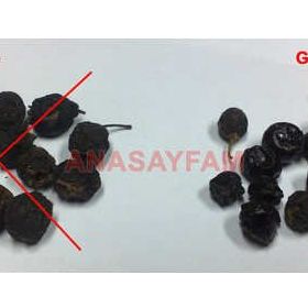 Aktar Diyarı 100 gr Acı Çehre Tohumu