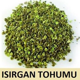 Aktar Diyarı 250 gr Isırgan Otu Tohumu