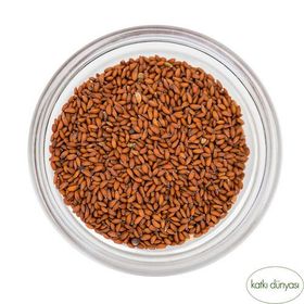 Aktar Diyarı 250 gr Tere Tohumu